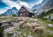 Словенские Альпы. Планины